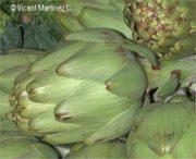 artichoke