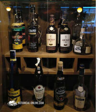 Exhibition of high-alcohol alcoholic beverages in a restaurant