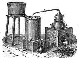 essential oil steam distillation method