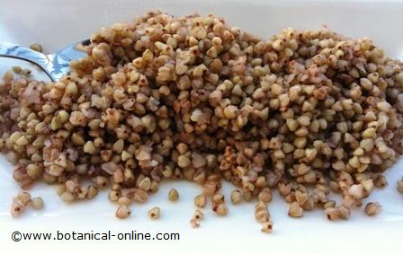 Cooked buckwheat