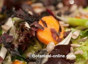 seaweed dulse on a salad