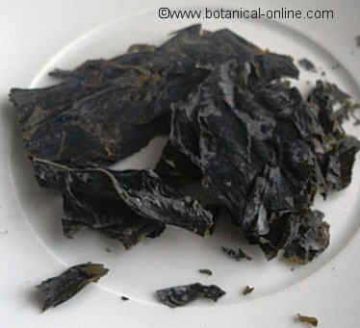 dehydrated kombu seaweed