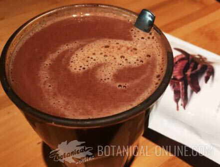 Photo of carob hot chocolate