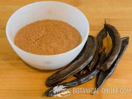 Photo of carob flour and pods