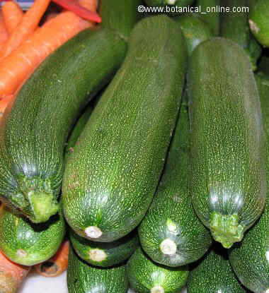 zucchinis