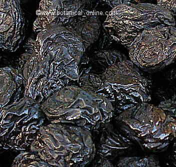 black prunes