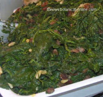  cooked spinach