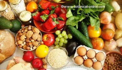 vegetables, fruit, eggs, nuts...