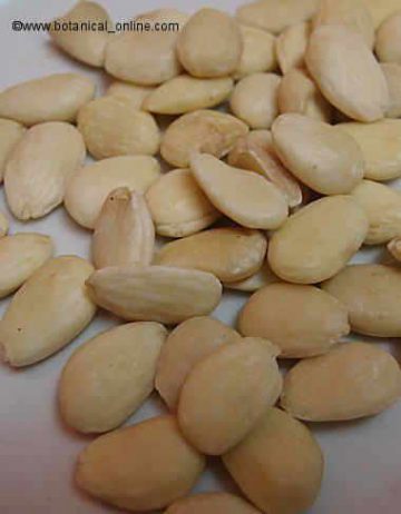 Peeled almonds