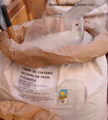 rye flour