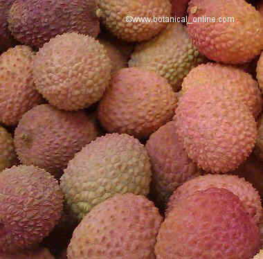 Photo of lychees