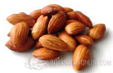 raw almonds
