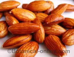 almonds