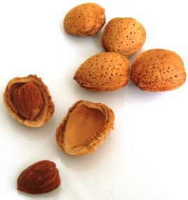 Shelled almonds