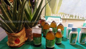 natural products wiht aloe, plant