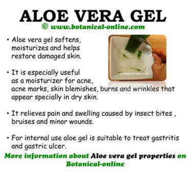 aloe vera gel properties