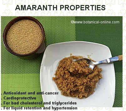 amaranth