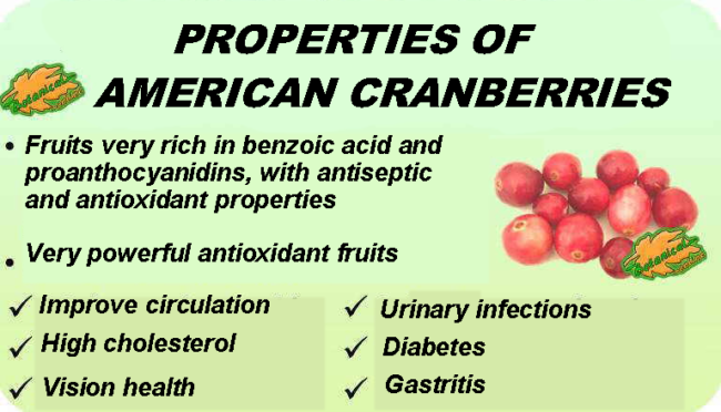 Properties of cranberry cranberries and their benefits