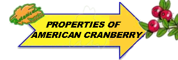 Properties of American cranberry image