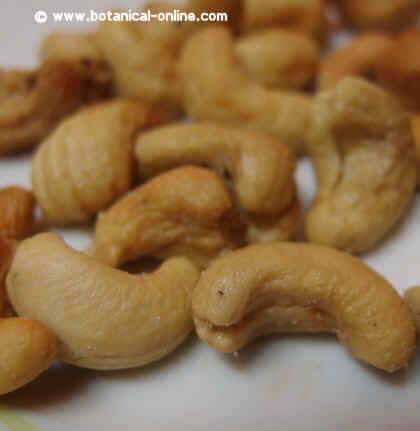 cashews