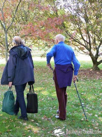 old people