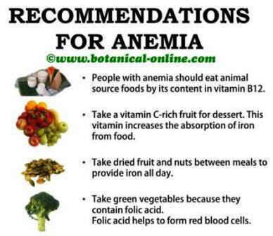 Anemia recommedations iron food sources vitamin c folic acid