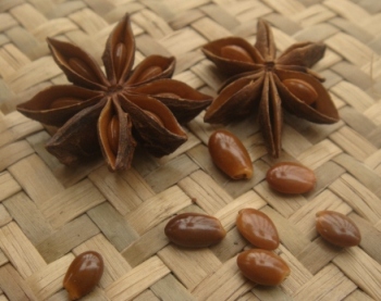 star anise with seeds
