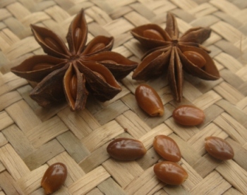 star anise