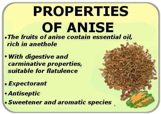 medicinal properties of green anise