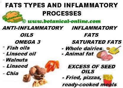 the types of fat and its effects on the body's inflammatory processes