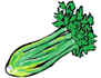 celery