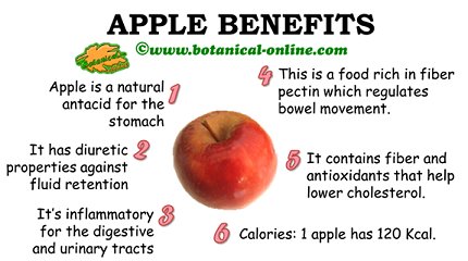 apple properties