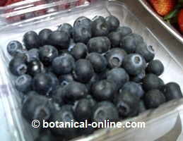Blueberries in a market