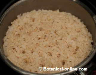 Cooked brown rice