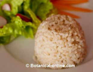 Presentation of brown rice.