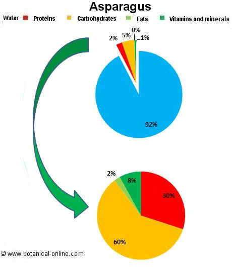 Asparagus composition