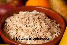 Organic Oats