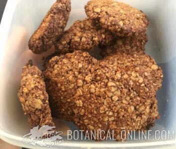 Oatmeal and carob cookies