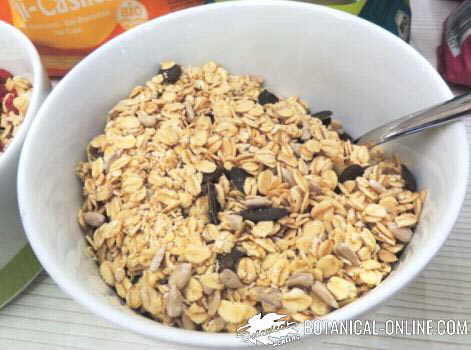 oatmeal with sunflower seeds and pumpkin seeds