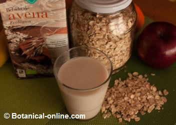 oat drink with oat flakes