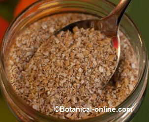 oat bran