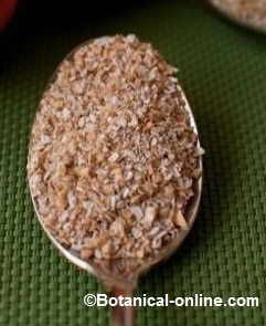 Photo of a spoonfull of oat bran