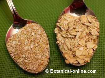 Oat bran (left) and oat flakes (right)