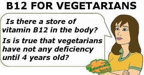 store of vitamin B12