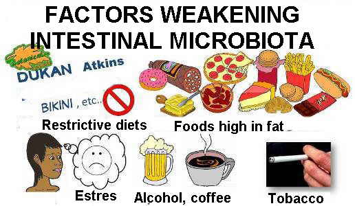 Harmful or debilitating food for intestinal microbiota, or flora.