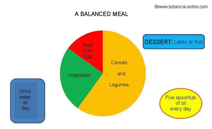 balanced meal
