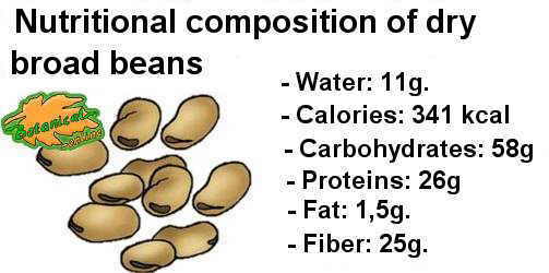 Nutritional composition per 100g. of dry fava beans