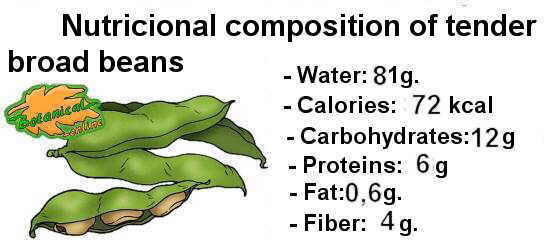 composicion nutricional de las habas secas