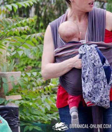 breastfeeding