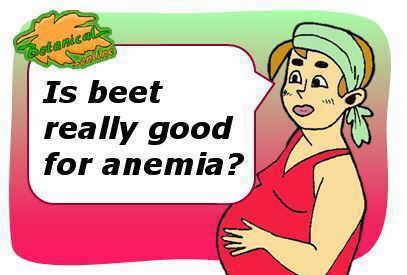 beetroot for pregnancy